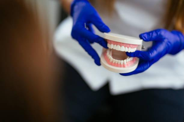 Reliable Gastonia, NC Holistic Dental Care Services Solutions
